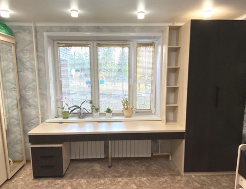 Рабочая зона модель r106 купить в Реутове